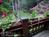 The Chalet Inn::BedAndBreakfast.com