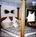 Oceanside Inn::BedAndBreakfast.com