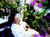 Casa Madrona Hotel And Spa::SpaFinder.com