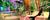 Pinky-mia_kent-terrc-1