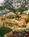 Sunterra Scottsdale Links Resort::Yahoo! Travel