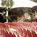Marriott San Ramon::Orbitz