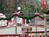 Dollywood::ThrillNetwork.com