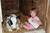 Rocky Acre Farm Bed and Breakfast::TripAdvisor