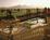 Suncoast Hotel And Casino::Orbitz