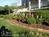 Fig Tree Manor Bed Breakfast::BedAndBreakfast.com
