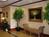 Holiday Inn Express Hotel & Suites San Angelo::Priceline.com