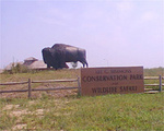 Lee G. Simmons Conservation Park and Wildlife Safari