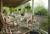 Monteagle Inn::BedAndBreakfast.com