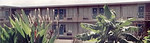Tn-366435119_c127585f85_m