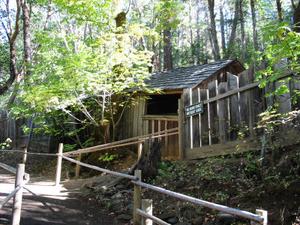 Oregon Vortex House of Mystery::Oregon Vortex