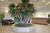 Ramada Inn & Suites, Airport from Expedia