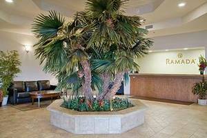 Web-14107_26_b