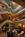 Boston Marriott Copley Place::ZoomAndGo