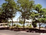 Virginia Lake Recreation Area::Yahoo! Travel