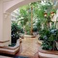 Embassy Suites Hotel San Francisco-Airport/Burlingame