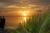 Lime Tree Bay Resort::TripAdvisor