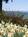 The Inn at Mallard Cove::BedAndBreakfast.com