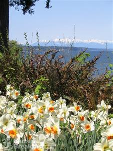 The Inn at Mallard Cove::BedAndBreakfast.com