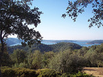 Tn-256542051_12476aa48b_m