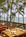 Outrigger Waikiki on the Beach::Orbitz