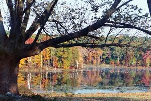 Inn at Fox Hill Farm::TripAdvisor