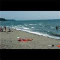 Tn-096865_rec_01_f