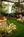Days Inn - Union City::Priceline.com