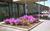 Super 8 Motel - Manassas/I-66 VA from Yahoo! Travel
