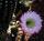 Westward Look Resort::TripAdvisor