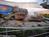 EPCOT::ThemeParksOnline