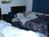 Wild Wild West Gambling Hall and Hotel::VirtualTourist