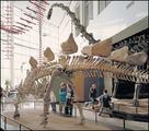 Science Museum of Minnesota