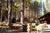 The Deerfield Lodge At Heavenly::Travelocity.com