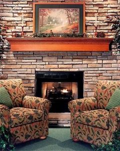 The Falls Village Resort::Travelocity.com