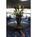 Doral Arrowwood::Expedia