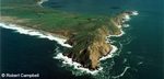 Point Reyes