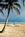 Casa Marina Resort::Hotels.com