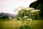 Tn-767902289_d3673ba904_m