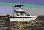 Eye Catcher Charters