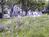 Maple Manor Bed & Breakfast::Yahoo! Travel