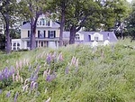 Maple Manor Bed & Breakfast