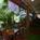 Budget Inn::ProfessionalTravelGuide.com