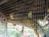 Gulf View Waterfront Resort::TripAdvisor