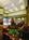 Holiday Inn Express Suites South Port::ProfessionalTravelGuide.com