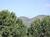 Best Western Pine Springs Inn::Priceline.com