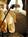 Washington Inn Hotel::Expedia