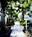 Anabella Hotel::Expedia