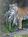 Toledo Zoological Gardens::Toledozoo
