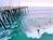 SeaVenture Resort::Travelocity.com
